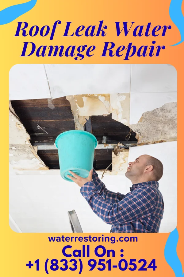 Roof Leak Water Damage Repair in Hideout, UT